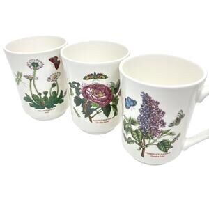 Botanic Garden Portmeirion Susan Williams-Ellis Mugs Set 3 Bellis Perennis Daisy